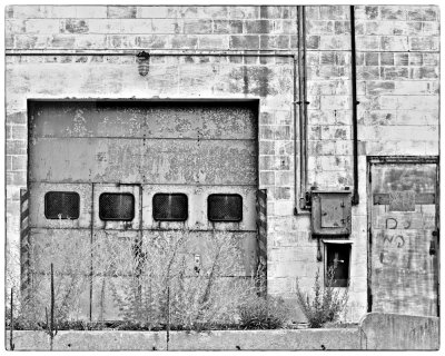 20110623-DSC_4522 edited 2 bw.jpg