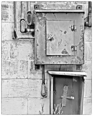 20110623-DSC_4542 edted bw.jpg