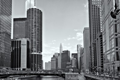 Along the Chicago River