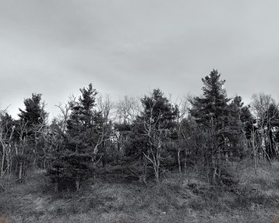 g4/93/843393/3/142729067.9zMt34E0.jpg