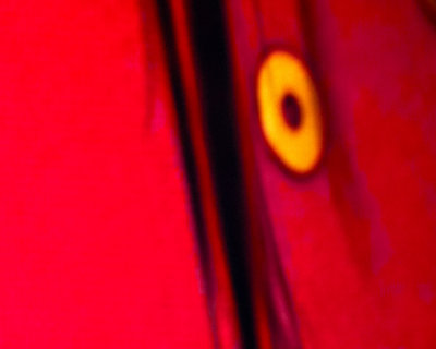 g4/93/843393/3/142888552.SDHmKRCx.jpg
