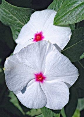 Image-54.jpg