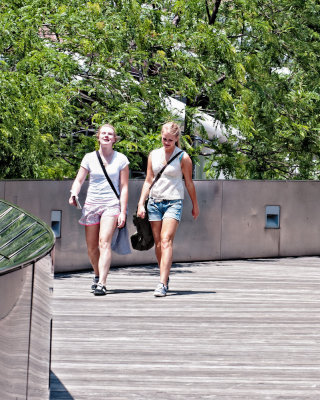 Millennium Park - Bridge