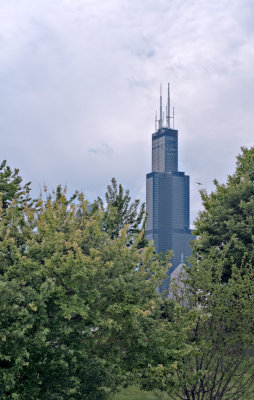 View of former Sears Tower from Lake Front