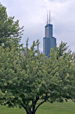 View of former Sears Tower from Lake Front