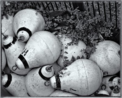 Boat Buoys removed from Monroe Harbor