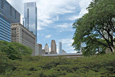 View from Art Institute
