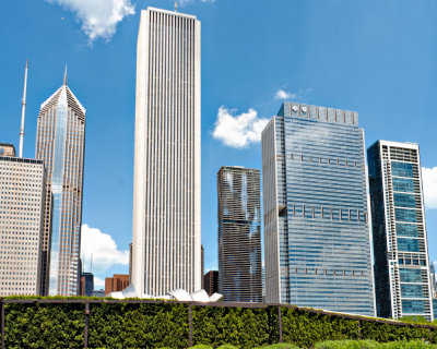 View from Lurie Garden