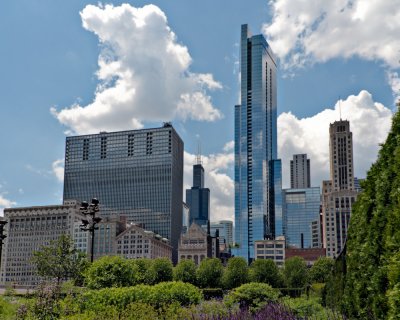 View from Lurie Garden