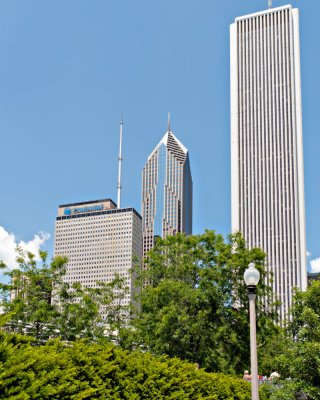 View from Lurie Garden