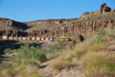 hugging canyon walls