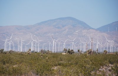 windmills