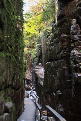 Flume Gorge