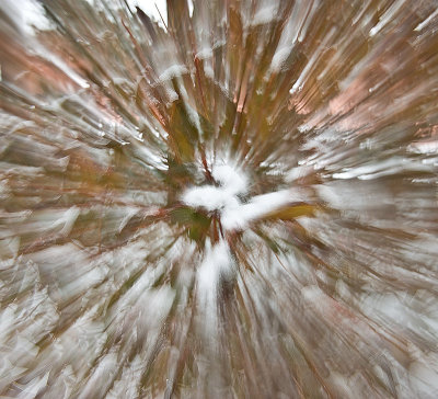 Snow abstract