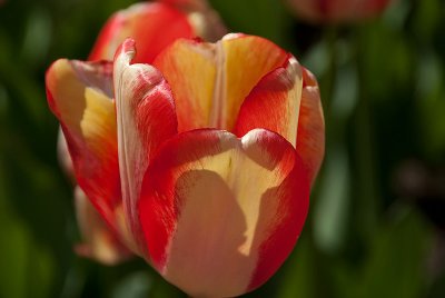 g4/93/852293/3/134497828.Z7P44vd4.jpg