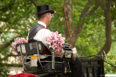 Carriage driver