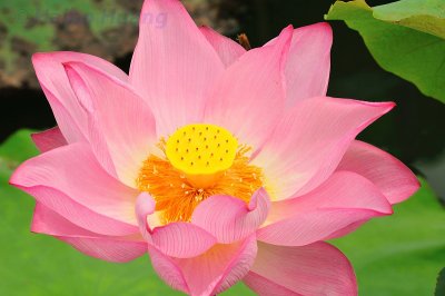 HHB_100824_202131.jpg