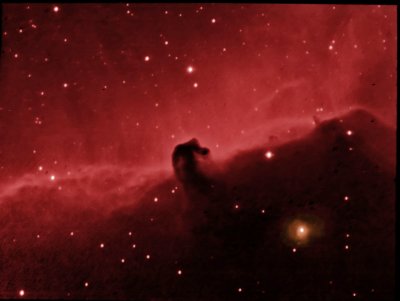 Bernard 33 - The Horsehead Nebula