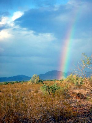 rainbow AZ