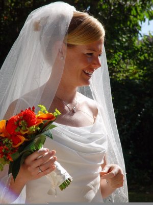 shelley bride