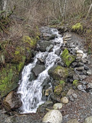 Stream, Rattlesnake Lake