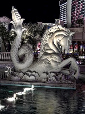 Sea Horse