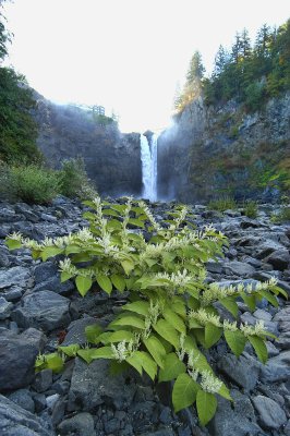 Snoqualmie Falls