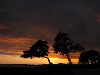 Sunsets at Kona (8)