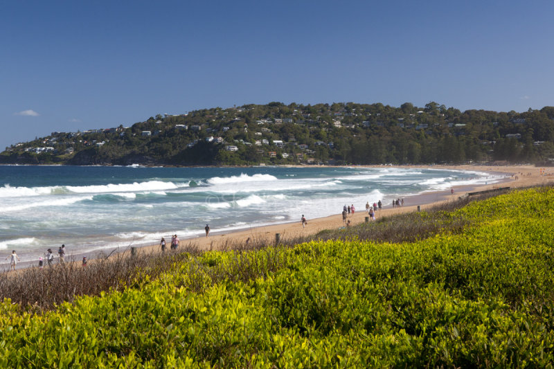 Palm Beach looking south