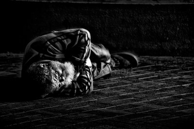 Spotlight on homeless