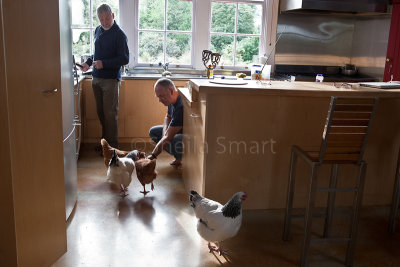 Feeding chooks at The Factory