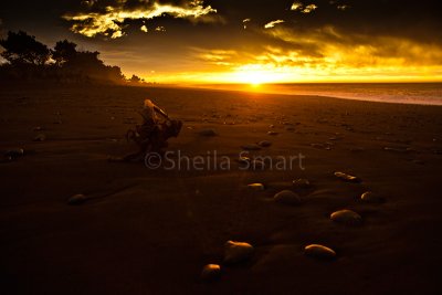 Stones on beach at sunrise