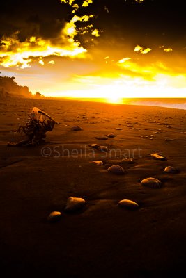 Pebbles at sunrise at Kaikoura Beach, South Island