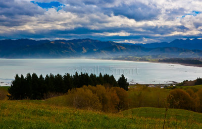 Trees at Kaikoura with Mount Fyffe range as backdrop