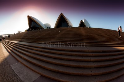 Sydney Opera House and steps