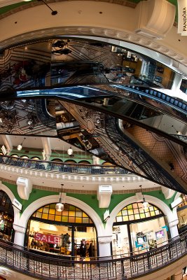 Queen Victoria Building escalator portrait 