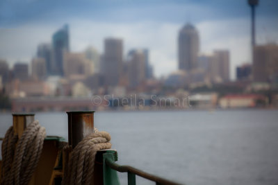 Manly ferry bollards with Sydney backdrop