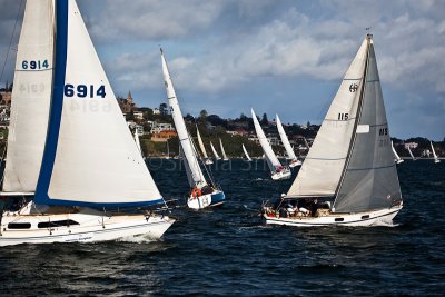 Yachts in race on Sydney Harbour 