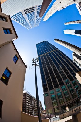 Buildings in city with edge of trees aboriginal sculptures