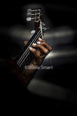 Hand of a Spanish Guitarist