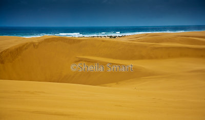 Dunes at Birubi Beach 