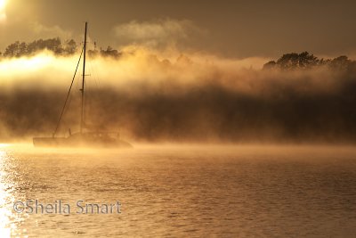 Yacht and rolling mist in Bay of Islands, New Zealand