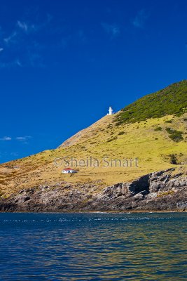 Lighthouse at Bay of Islands
