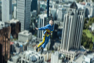 Bungey jumper off Sky Tower, Auckland 