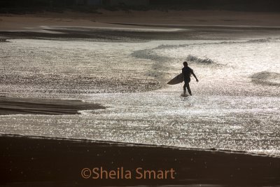 Surfer leaving surf at Palm Beach