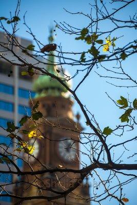 Winter with clock on Bridge Street