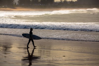 Surfer at Palm Beach 