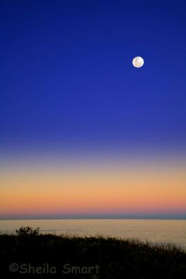 Moonrise over Collaroy Beach