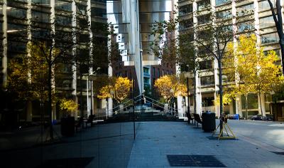 Autumnal reflection in Gov Phillip Tower