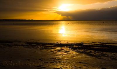 Sunrise at Salamanda Bay